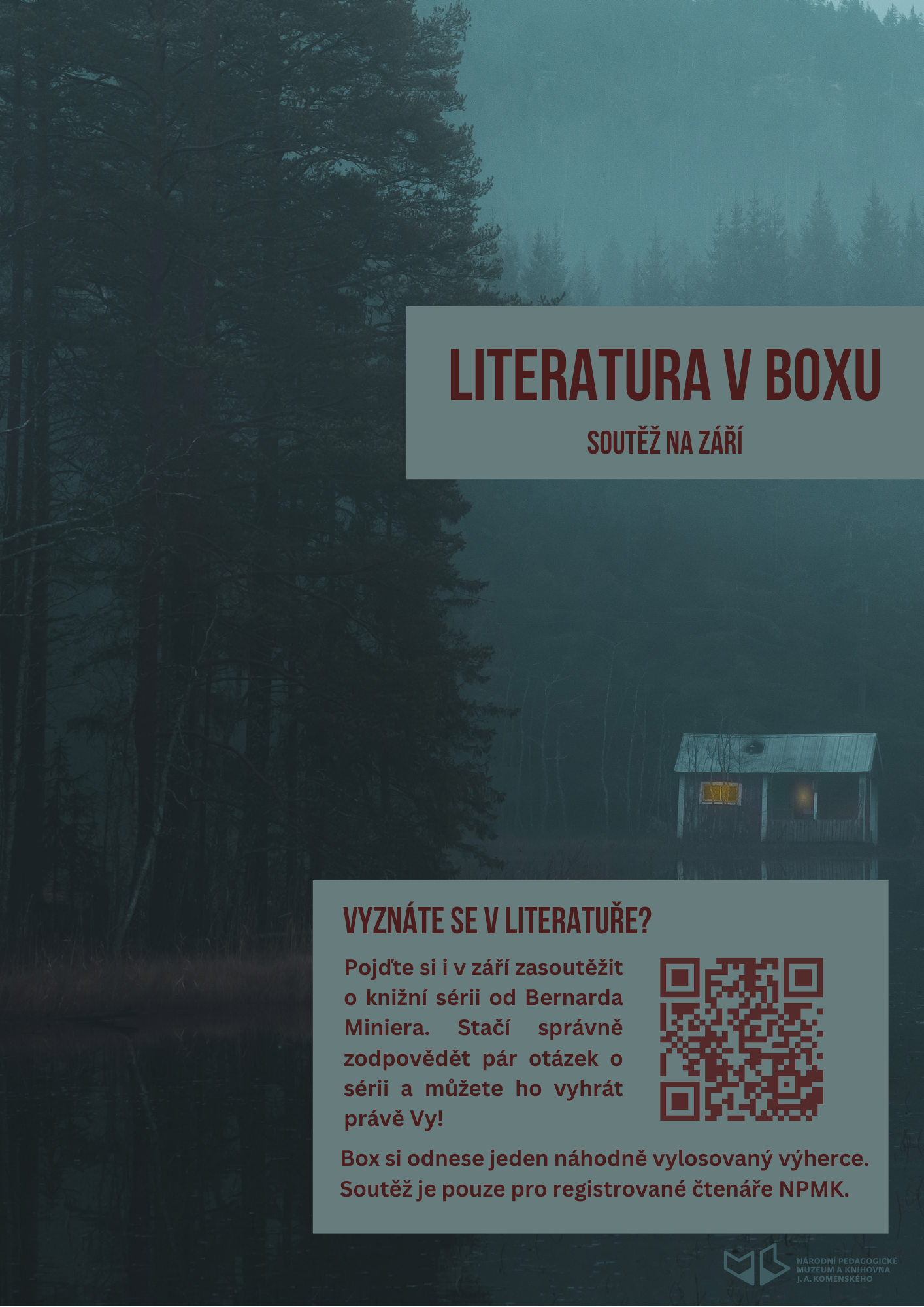 Literatura v boxu