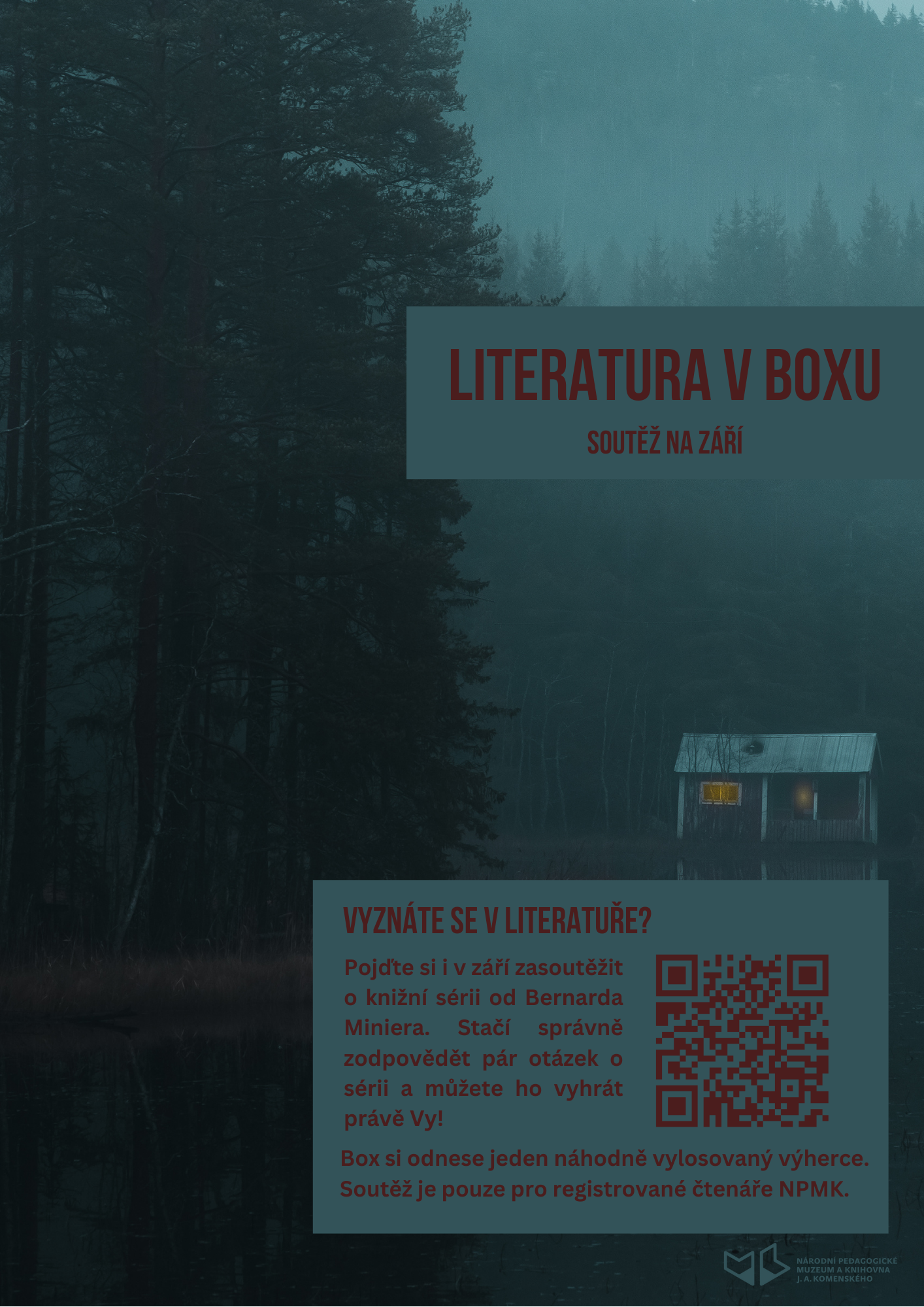 Literatura v boxu