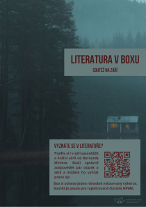 Literatura v boxu