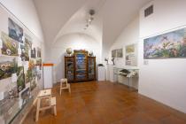 expozice