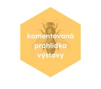 BZUKOT ŠKOLNÍCH ZAHRAD s kurátorem