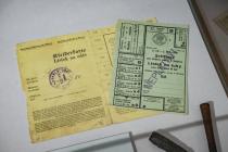 Výstava - Dětství pod hákovým křížem