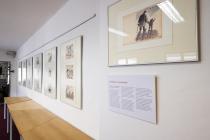 foto z výstavy: Tomíčkovi k jeho 3. narozeninám