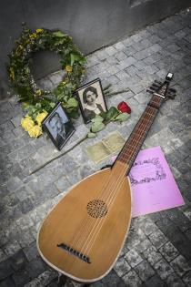 Voglovi