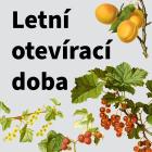 Letní provoz