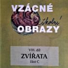 Vzácné obrazy